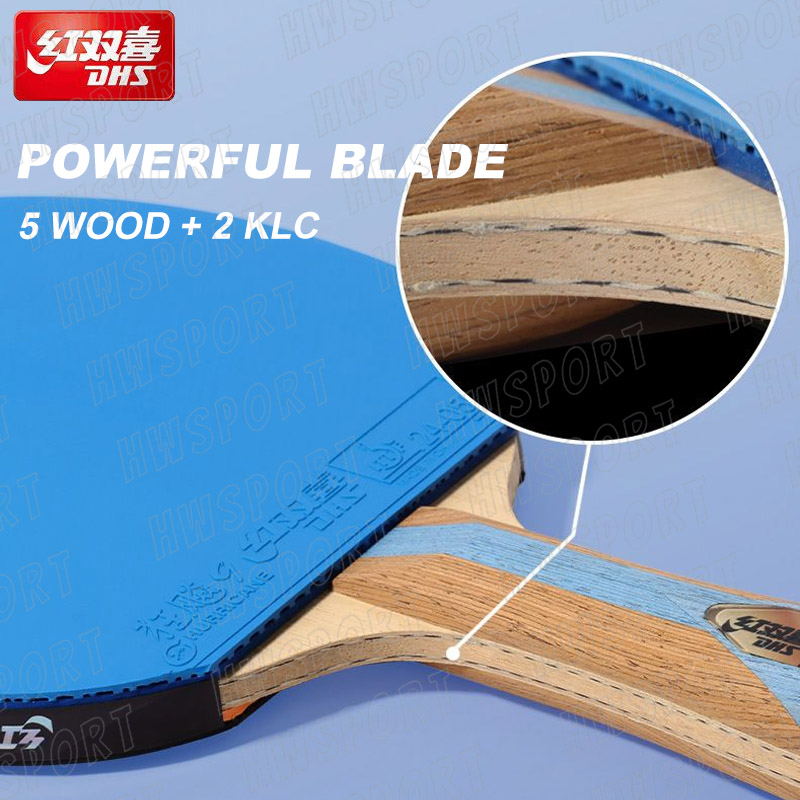 DHS raket tenis meja 6 bintang - Table Tennis Backhand ulasan dan harga