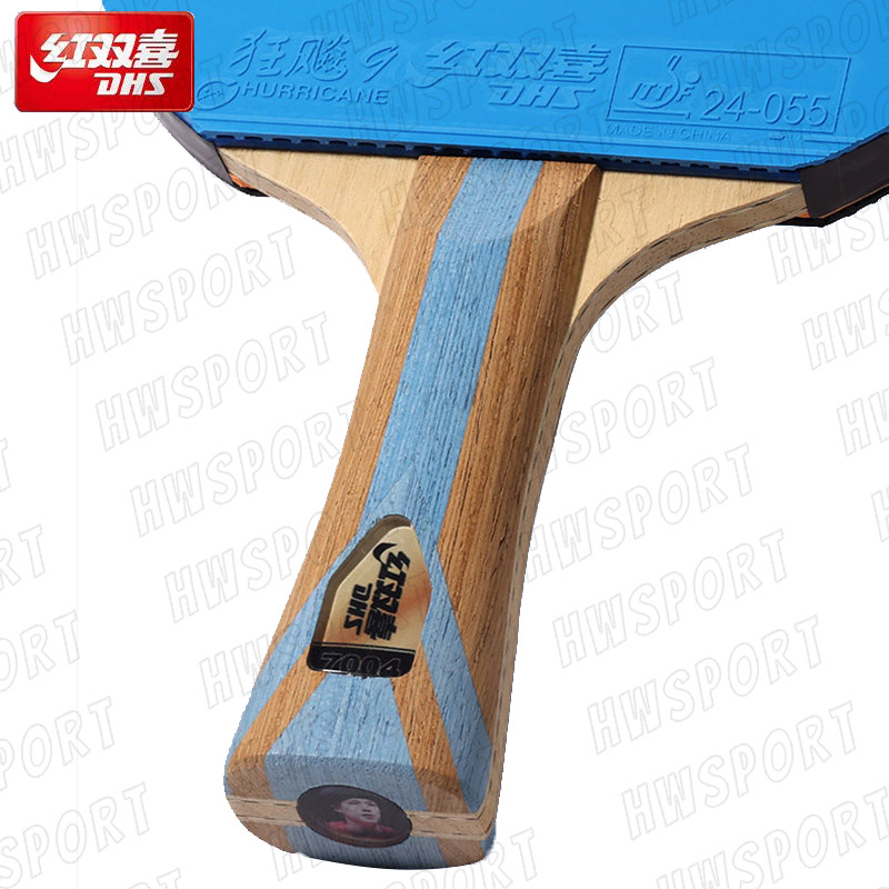 DHS raket tenis meja 6 bintang - Table Tennis Backhand ulasan dan harga