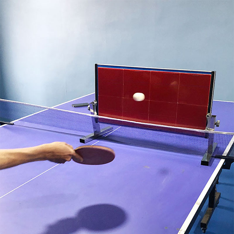 Papan Pantul Tenis Meja untuk  - Table Tennis Player ulasan dan harga